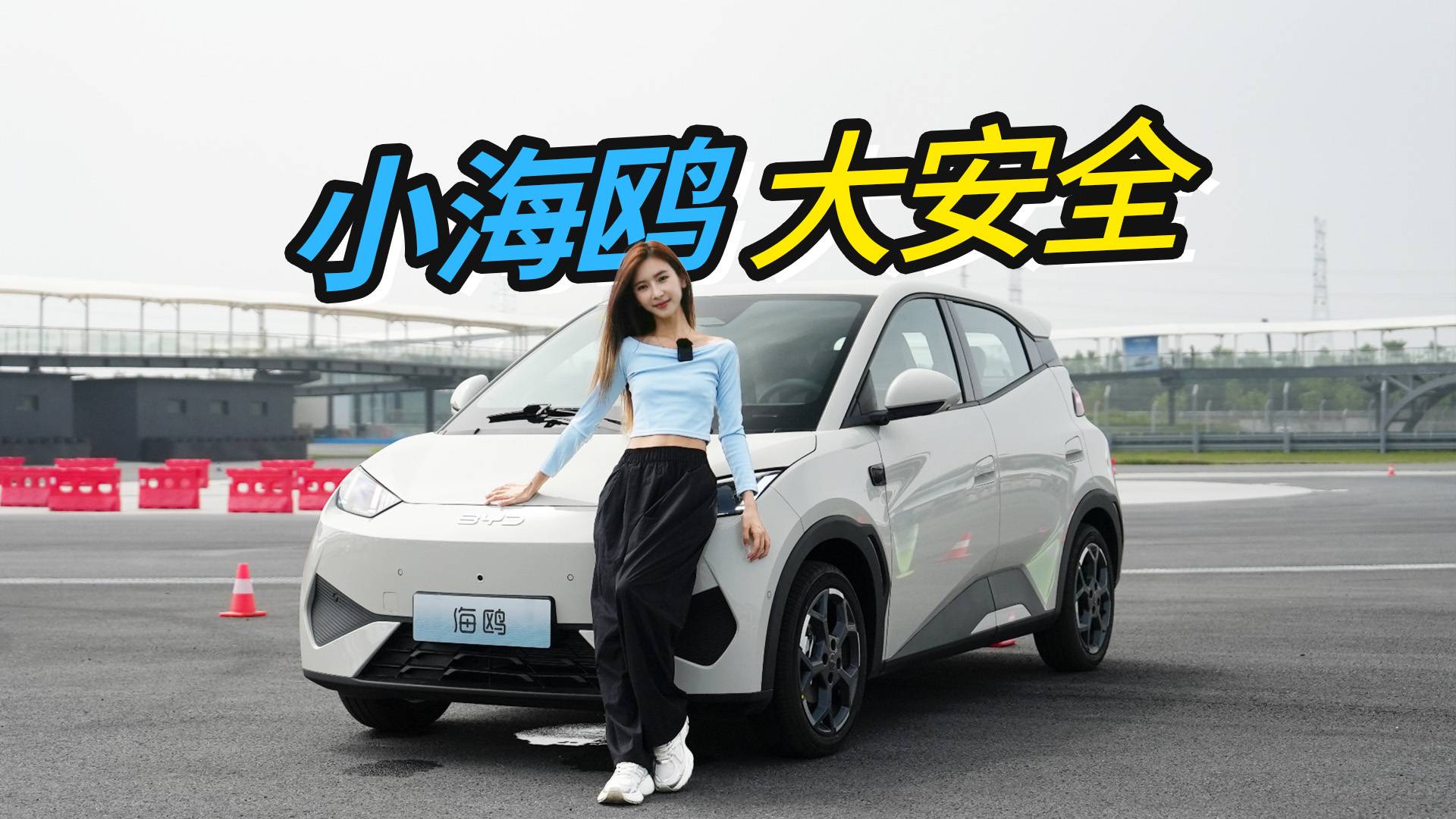 A00级海鸥，小小的身子，满满的安全感
