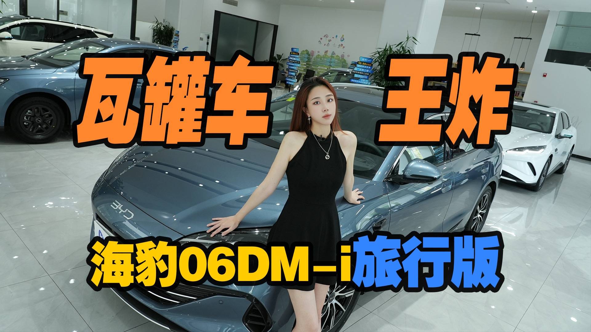 10万入手瓦罐车？真成了！海豹06DM-i旅行版