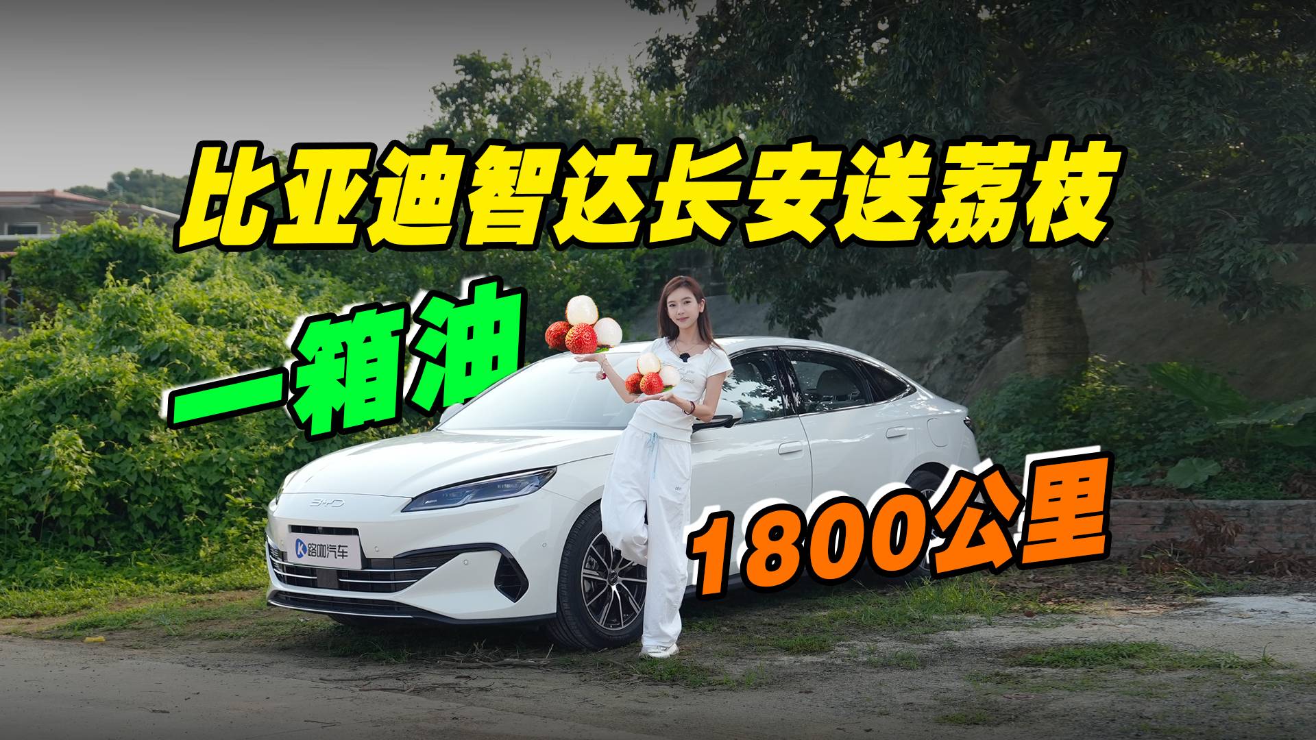 挑战一箱油，1800公里给比亚迪车主送“仙进奉”荔枝